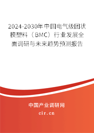 2024-2030年中國電氣級團(tuán)狀模塑料（BMC）行業(yè)發(fā)展全面調(diào)研與未來趨勢預(yù)測報告