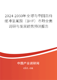 2024-2030年全球與中國高純緩沖氫氟酸（BHF）市場全面調(diào)研與發(fā)展趨勢預(yù)測報告