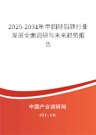 2025-2031年中國硅鋁鐵行業(yè)發(fā)展全面調(diào)研與未來趨勢報告