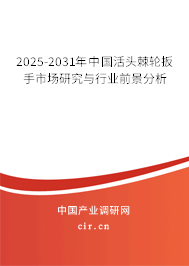 2025-2031年中國活頭棘輪扳手市場研究與行業(yè)前景分析