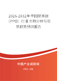 2026-2032年中國聚苯醚（PPO）行業(yè)市場分析與前景趨勢預(yù)測報告
