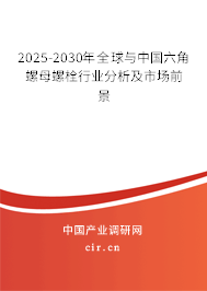 2025-2030年全球與中國六角螺母螺栓行業(yè)分析及市場前景 2025-2030年全球與中國六角螺母螺栓行業(yè)分析及市場前景