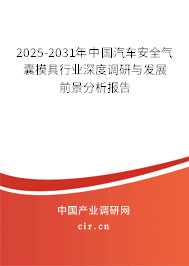 2025-2031年中國(guó)汽車安全氣囊模具行業(yè)深度調(diào)研與發(fā)展前景分析報(bào)告