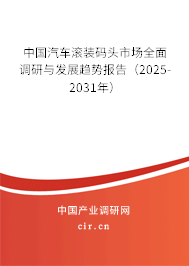中國汽車滾裝碼頭市場全面調(diào)研與發(fā)展趨勢報告(2025-2031年) 中國汽車滾裝碼頭市場全面調(diào)研與發(fā)展趨勢報告(2025-2031年)