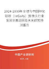 2024-2030年全球與中國砷化銦鎵（InGaAs）攝像頭行業(yè)發(fā)展全面調研及未來趨勢預測報告