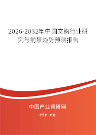 2025-2031年中國文胸行業(yè)研究與前景趨勢預測報告