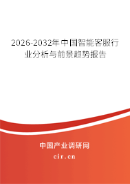 2026-2032年中國(guó)智能客服行業(yè)分析與前景趨勢(shì)報(bào)告
