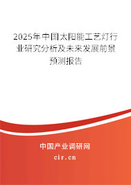 2025年中國太陽能工藝燈行業(yè)研究分析及未來發(fā)展前景預(yù)測報(bào)告