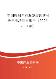中國碟剎自行車發(fā)展現(xiàn)狀分析與市場前景報告（2025-2031年）