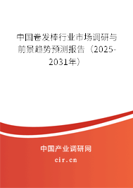 中國卷發(fā)棒行業(yè)市場調研與前景趨勢預測報告（2025-2031年）