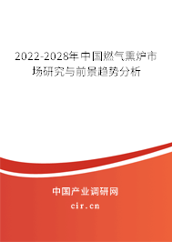 2022-2028年中國燃?xì)庋瑺t市場研究與前景趨勢分析