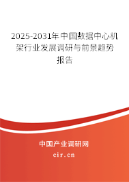 2025-2031年中國數(shù)據(jù)中心機架行業(yè)發(fā)展調(diào)研與前景趨勢報告