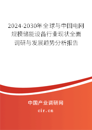 2024-2030年全球與中國電網(wǎng)規(guī)模儲能設(shè)備行業(yè)現(xiàn)狀全面調(diào)研與發(fā)展趨勢分析報告 2024-2030年全球與中國電網(wǎng)規(guī)模儲能設(shè)備行業(yè)現(xiàn)狀全面調(diào)研與發(fā)展趨勢分析報告