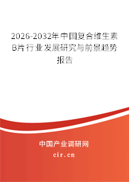 2026-2032年中國復(fù)合維生素B片行業(yè)發(fā)展研究與前景趨勢報告