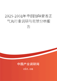 2025-2031年中國加味藿香正氣丸行業(yè)調研與前景分析報告