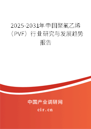 2025-2031年中國聚氟乙烯（PVF）行業(yè)研究與發(fā)展趨勢報告
