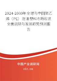 2024-2030年全球與中國聚乙烯(PE)泡沫塑料市場現(xiàn)狀全面調研與發(fā)展趨勢預測報告 2024-2030年全球與中國聚乙烯(PE)泡沫塑料市場現(xiàn)狀全面調研與發(fā)展趨勢預測報告