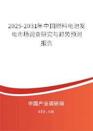 2025-2031年中國(guó)燃料電池發(fā)電市場(chǎng)調(diào)查研究與趨勢(shì)預(yù)測(cè)報(bào)告