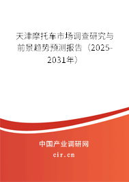 天津摩托車市場調(diào)查研究與前景趨勢預測報告（2025-2031年）