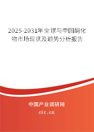 2025-2031年全球與中國(guó)酮化物市場(chǎng)現(xiàn)狀及趨勢(shì)分析報(bào)告