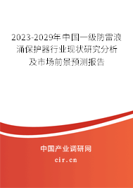 2023-2029年中國一級防雷浪涌保護器行業(yè)現(xiàn)狀研究分析及市場前景預測報告