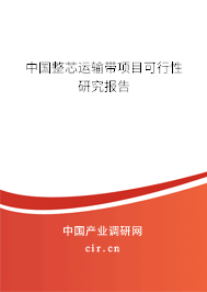 中國整芯運輸帶項目可行性研究報告 中國整芯運輸帶項目可行性研究報告