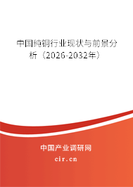 中國(guó)純銅行業(yè)現(xiàn)狀與前景分析（2025-2031年）