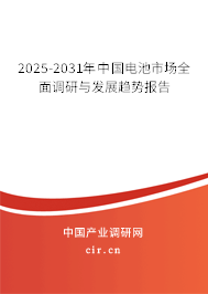 2025-2031年中國電池市場全面調(diào)研與發(fā)展趨勢報(bào)告