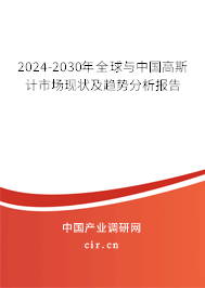 2024-2030年全球與中國高斯計(jì)市場(chǎng)現(xiàn)狀及趨勢(shì)分析報(bào)告