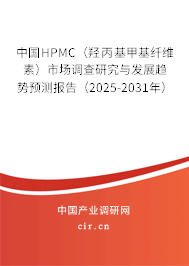 中國HPMC（羥丙基甲基纖維素）市場調(diào)查研究與發(fā)展趨勢預測報告（2025-2031年）