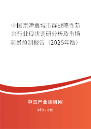中國京津冀城市群戰(zhàn)略性新興行業(yè)現(xiàn)狀調(diào)研分析及市場前景預(yù)測報告（2025年版）