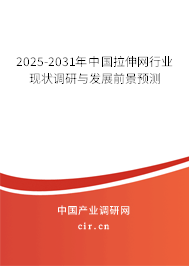 2025-2031年中國拉伸網(wǎng)行業(yè)現(xiàn)狀調(diào)研與發(fā)展前景預(yù)測