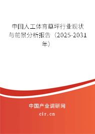 中國人工體育草坪行業(yè)現(xiàn)狀與前景分析報(bào)告（2025-2031年）