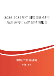 2026-2032年中國智能BMS市場調(diào)研與行業(yè)前景預(yù)測報告