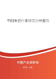 中國東營行業(yè)研究分析報告