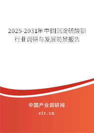 2025-2031年中國(guó)沉淀硫酸鋇行業(yè)調(diào)研與發(fā)展前景報(bào)告 2025-2031年中國(guó)沉淀硫酸鋇行業(yè)調(diào)研與發(fā)展前景報(bào)告