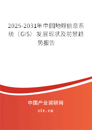 2025-2031年中國(guó)地理信息系統(tǒng)（GIS）發(fā)展現(xiàn)狀及前景趨勢(shì)報(bào)告