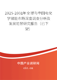 2025-2031年全球與中國電化學(xué)儲能市場深度調(diào)查分析及發(fā)展前景研究報告（已下架）
