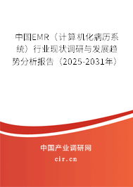 中國(guó)EMR（計(jì)算機(jī)化病歷系統(tǒng)）行業(yè)現(xiàn)狀調(diào)研與發(fā)展趨勢(shì)分析報(bào)告（2025-2031年）