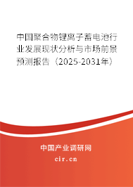中國聚合物鋰離子蓄電池行業(yè)發(fā)展現(xiàn)狀分析與市場前景預(yù)測報(bào)告(2025-2031年) 中國聚合物鋰離子蓄電池行業(yè)發(fā)展現(xiàn)狀分析與市場前景預(yù)測報(bào)告(2025-2031年)
