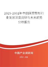 2025-2031年中國(guó)美容整形行業(yè)發(fā)展深度調(diào)研與未來趨勢(shì)分析報(bào)告