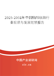 2025-2031年中國(guó)腦啡肽酶行業(yè)現(xiàn)狀與發(fā)展前景報(bào)告