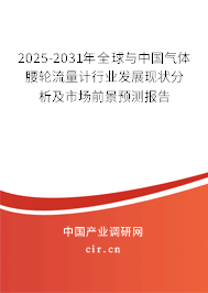 2025-2031年全球與中國氣體腰輪流量計行業(yè)發(fā)展現(xiàn)狀分析及市場前景預(yù)測報告