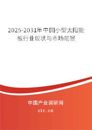 2025-2031年中國小型太陽能板行業(yè)現(xiàn)狀與市場前景