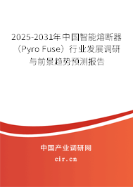 2025-2031年中國(guó)智能熔斷器（Pyro Fuse）行業(yè)發(fā)展調(diào)研與前景趨勢(shì)預(yù)測(cè)報(bào)告