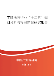丁腈橡膠行業(yè)“十二五”規(guī)劃分析與投資前景研究報告