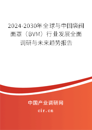 2024-2030年全球與中國袋閥面罩(BVM)行業(yè)發(fā)展全面調(diào)研與未來趨勢報(bào)告 2024-2030年全球與中國袋閥面罩(BVM)行業(yè)發(fā)展全面調(diào)研與未來趨勢報(bào)告