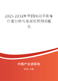 2025-2031年中國電動平衡車行業(yè)分析與發(fā)展前景預(yù)測報告