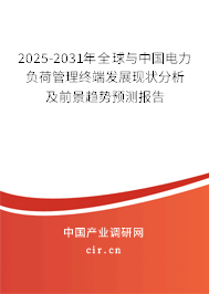 2025-2031年全球與中國電力負荷管理終端發(fā)展現狀分析及前景趨勢預測報告