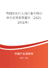 中國防水打火機行業(yè)市場分析與前景趨勢報告（2025-2031年）